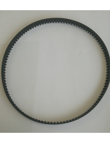 Cinghia dentata principale