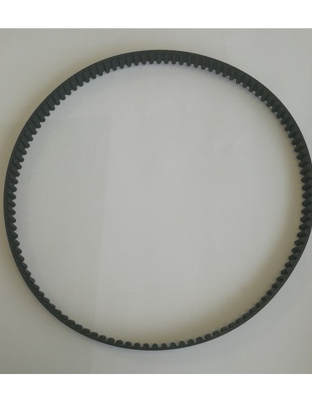 Cinghia dentata principale